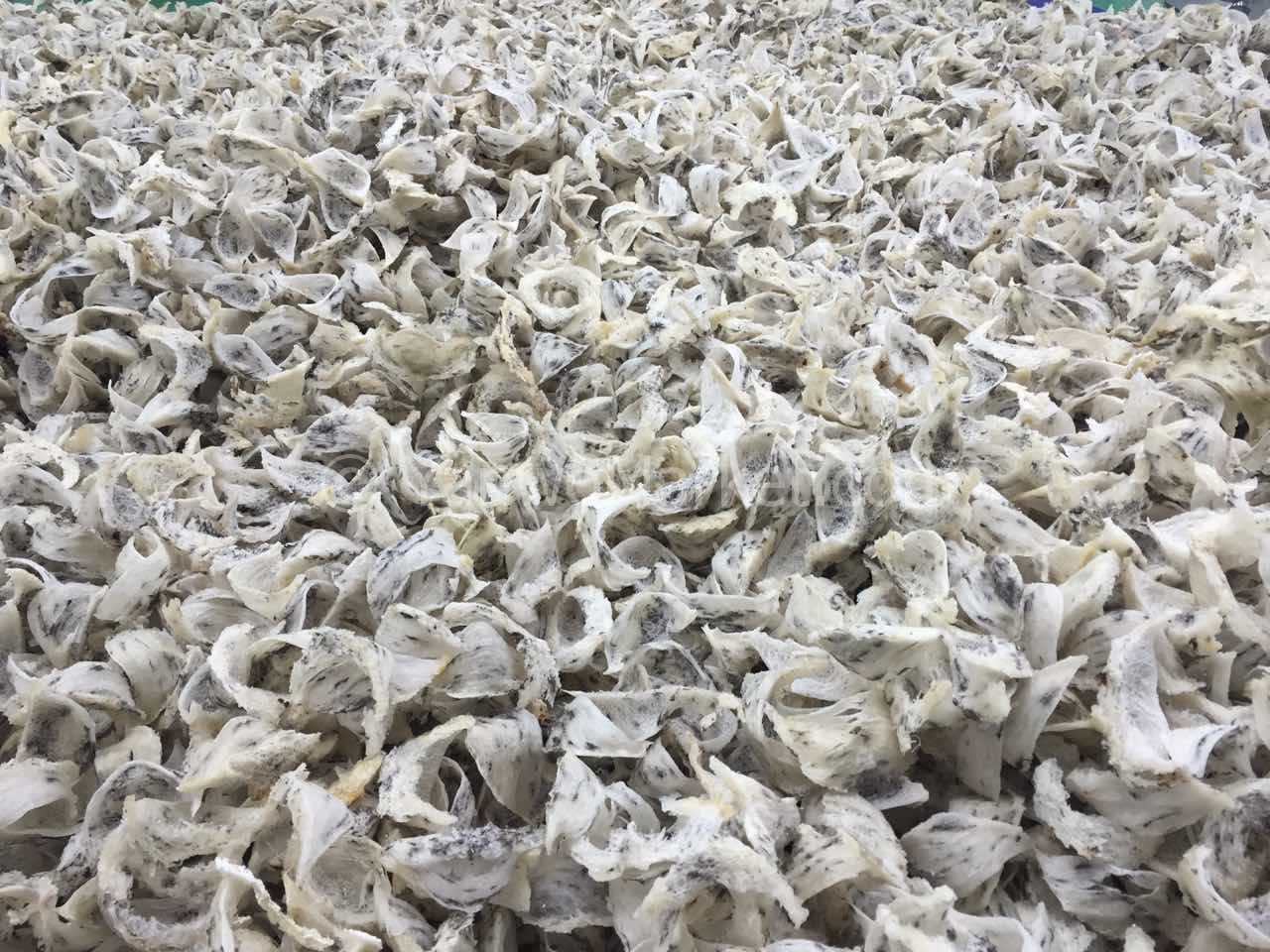 燕窝原料