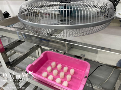 揭秘即炖燕窝的加工生产过程,带你了解即炖燕窝是怎么形成的