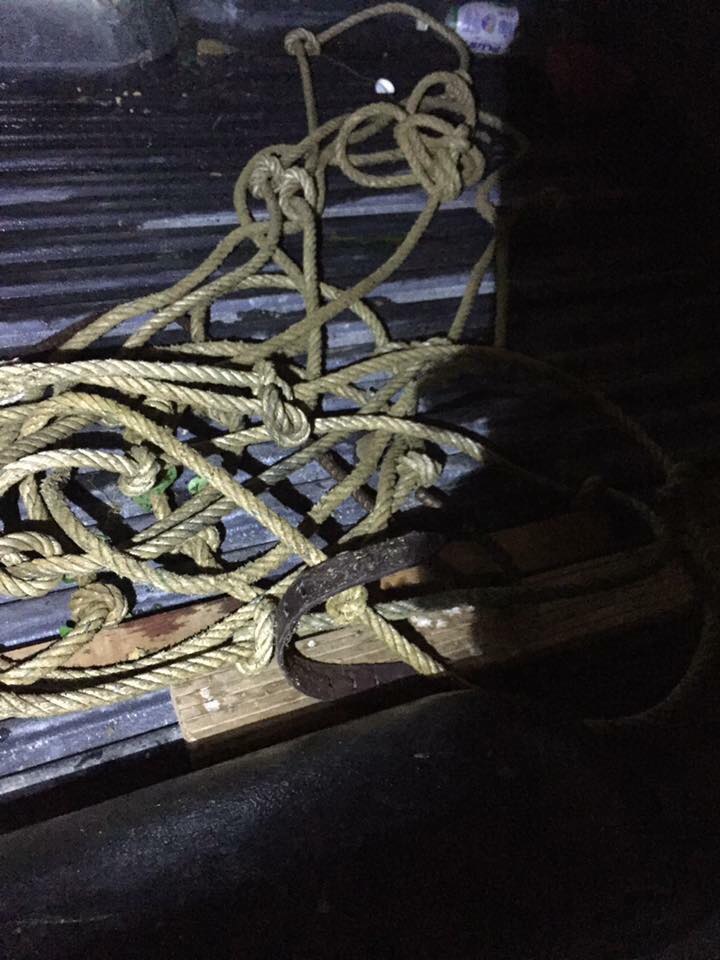 使用道具进入燕屋