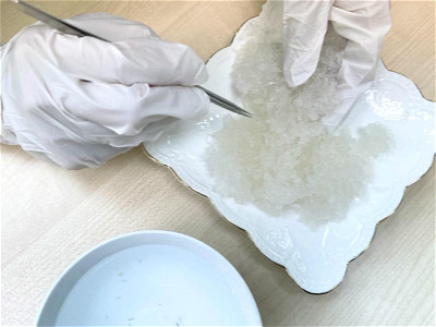 燕碎泡发多久最好