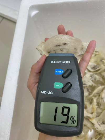 毛燕测水