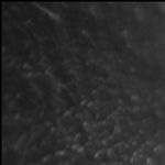 云南燕窝批发放心选择