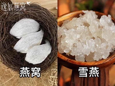 雪燕和燕窝有什么区别?雪燕也是燕窝吗(千万别买错了) - 燕窝商日记_天然燕窝_正宗燕窝