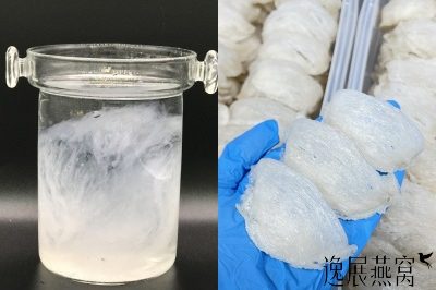金丝燕盏要泡发十个小时吗?到底金丝燕窝需要泡多久