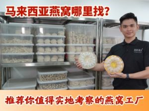 马来西亚燕窝货源哪里找-逸展燕窝