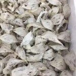 燕窝具有美白作用吗