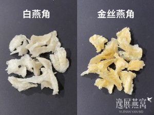 白燕角和金丝燕角有什么区别-逸展燕窝