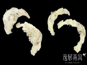 燕窝原料底座是厚的好还是薄的好?自己吃选哪个比较便宜划算