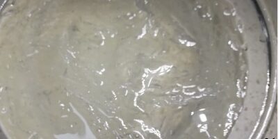 刚买的燕窝炖不烂有点脆是怎么回事?这是买到了假燕窝吗