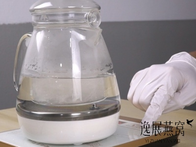 燕窝炖化水的7个原因,燕窝化水后还有营养吗? 燕窝炖化水的7个原因,燕窝化水后还有营养吗?