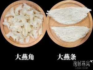 大燕角和大燕条的区别,自己吃买哪个好(哪个营养价值高)