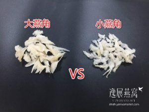 大燕角vs小燕角的区别