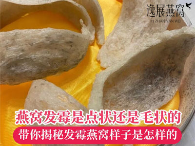 燕窝发霉是点状还是毛状的,带你揭秘发霉燕窝的样子是怎样的