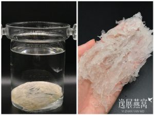 揭秘发霉的燕窝泡发后是什么样子(鉴别发霉燕窝)