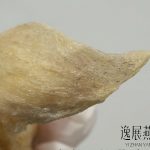 燕窝发霉是有很多小黑点吗?买到这样的还能吃吗(该怎么处理)