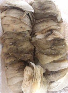 严重发霉的燕窝