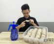 买燕窝时要选燕窝干度多少的最好?不想买贵你就一定要看