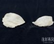燕窝干挑大盏和小盏的区别有哪些?自己吃选哪个划算哪个好