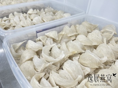 燕窝是干挑的好还是雨季的好?干挑燕窝与雨季燕窝有什么关联