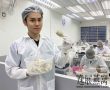 燕窝工厂代工操作方式,想让燕窝工厂帮忙处理毛燕(你必须注意这几点)