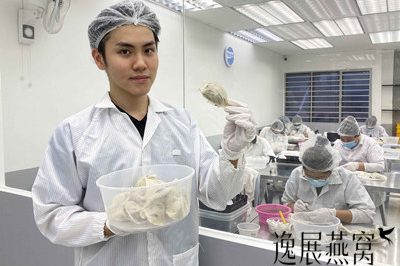 燕窝工厂代工操作方式,想让燕窝工厂帮忙处理毛燕(你必须注意这几点)