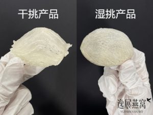 怎么看燕窝是干挑还是湿挑(附图)教你区别干挑和湿挑工艺的样子