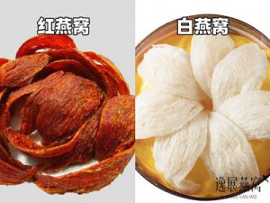 红色燕窝跟白色燕窝哪个好,红燕窝和白燕窝的区别有哪些