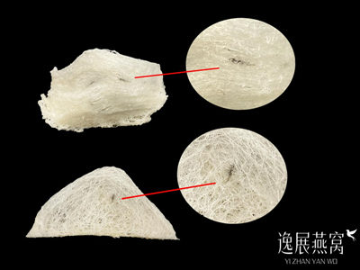 假燕窝会不会有燕子毛,燕窝有毛就是真燕窝?