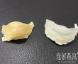 揭秘金丝盏和白燕窝的4大区别,告诉你哪个营养价值高