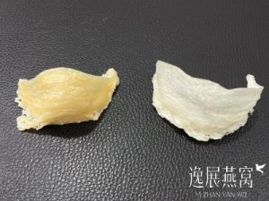 燕窝颜色选白的好还是黄的好?哪一种颜色的燕窝营养价值更高?