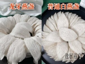 龙牙官燕盏和普通白燕盏的区别?自己吃选哪个比较好(哪个营养高)