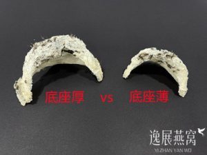 买毛燕要挑选底座厚的还是薄的好?手把手教你怎么选才不会错