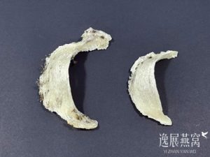 买毛燕要挑选底座厚的还是薄的好?手把手教你怎么选才不会错