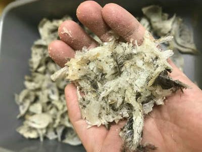 燕窝原料到底有几种形态?买哪一种原料形态比较好