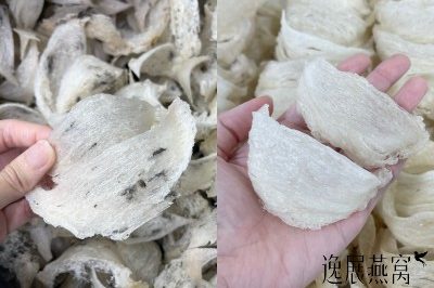想要买燕窝进补,自己吃毛燕好还是干挑燕窝好(哪个营养好)