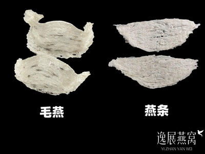 毛燕好还是燕条好,自己吃买哪个营养价值更高