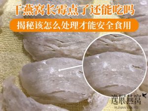 干燕窝长霉点了还能吃吗,揭秘该怎么处理才能安全食用