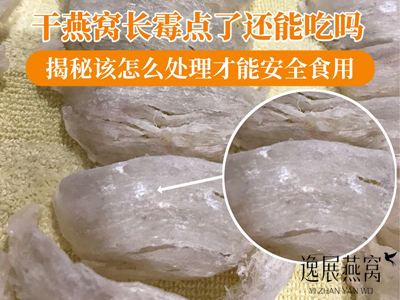 干燕窝长霉点了还能吃吗,揭秘该怎么处理才能安全食用