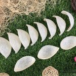 远离肺癌和健康相拥,燕窝给你帮助