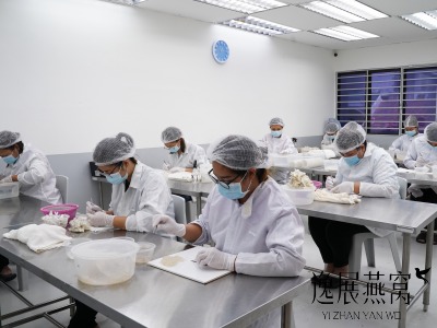 马来西亚燕窝工厂集中在哪里?哪一区最多燕窝工厂 马来西亚燕窝工厂集中在哪里?哪一区最多燕窝工厂