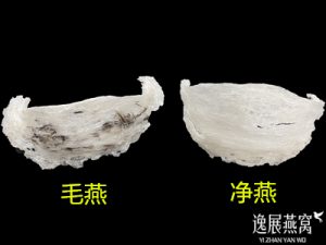 毛燕和净燕的区别,哪个营养价值比较高(怎么选才不会买错)