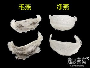 毛燕和净燕的区别,哪个营养价值比较高(怎么选才不会买错)