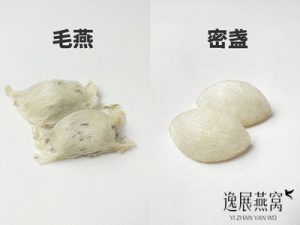 自己吃买毛燕好还是密盏好?哪个营养价值更高