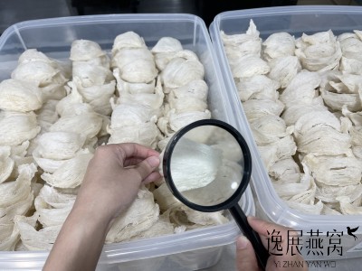 揭秘马来西亚燕窝真假要怎么分辨?教你5招快速上手的方法