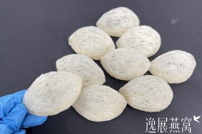 马来西亚燕窝为什么都长的一样?揭秘马来西亚特有的技术