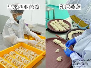 马来西亚燕盏和印尼燕盏的区别,自己买哪个比较好