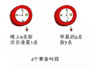 女人要吃燕窝多久皮肤才能见效