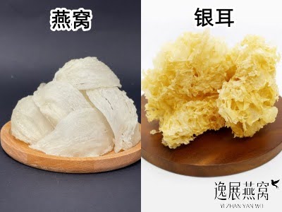 女人吃燕窝和银耳的区别有哪些?哪个营养价值比较高