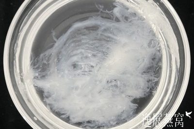 燕窝泡半小时就散开了,这是假燕窝的特征吗?