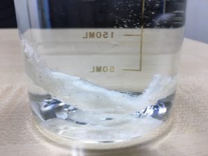 泡发燕窝1.30